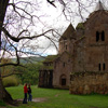 Գոշավանք