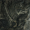 Նորավանք