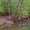 Lake Parz