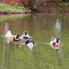Lake Parz