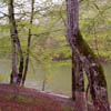 Lake Parz