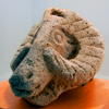 The museum of Tigranakert